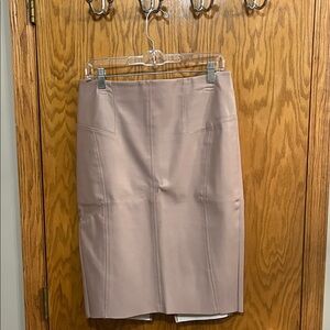 Express Mauve Pencil Skirt
